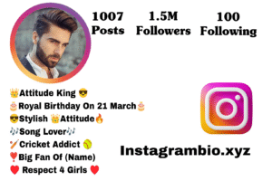 instagram bio for boys 2026